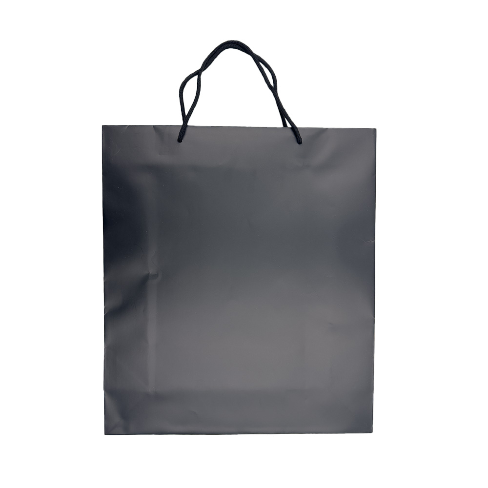 10 Shopper carta Lusso Opaca cm 36+12x41 Nero 2 10 Shopper carta Lusso Opaca cm 36+12x41 Nero - immagine 2